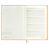 Ежедневник недат. А5 160л., кож.зам., тв.пер. "Лайка серый" ляссе