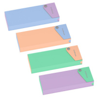 Пенал пластиковый ErichKrause Matt Pastel Bloom, ассорти