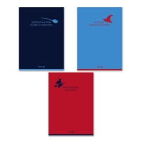 Тетрадь А4  48л кл. скоба Светоч "Заметки с метлой"