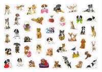 Книжка А4, 4л. с наклейками 350 шт "Собаки" Книжка А4, 4л. с наклейками 350 шт "Собаки"