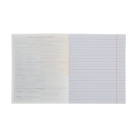 Комплект предметных тетрадей "Города" 12 шт в упаковке, 40л.