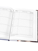 Дневник старш кл. обл. 7БЦ "Стильная девушка в кепке" глиттер, 48л.