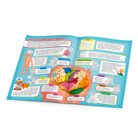 Книга "Атлас с наклейками. Тело человека" А4 16стр.