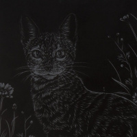 Гравюра-скретчинг 18*24см "Кобра" 6+