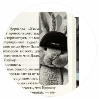 Набор закладок магнитных  2шт., "Звери в шапочках" 30*80мм