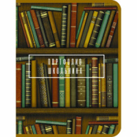 Портфолио школьника "Библиотека" в папке, 8 грамот, на шнурке