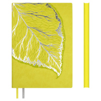 Набор Ежедневник недат. А5 кожзам., мягк.пер., 120л. + ручка "Виннер лаймовый" ляссе