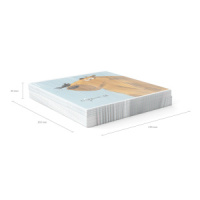 Тетрадь А5 48л кл. Erich Krause "Happy Capy,", УФ-лак выборочный+ламинация soft-touch