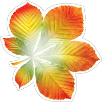 Украшение на скотче 18*18см "Лист осенний"