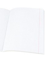 Тетрадь А5  96л кл. Проф-Пресс "Котики и надписи" лен, серебро