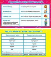 Карточка-шпаргалка Род и число имени существительного