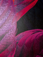 Альбом А4 40л клеевой кор. "Viva magenta" жестк.подл., пл. 100гр/м