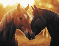 Календарь Трио металл+объем  295*720мм на 2026г. Любовь и лошади