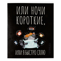 Тетрадь А5 48л кл. Феникс+ "Серый кот" выб.твин-лак, бел.100%