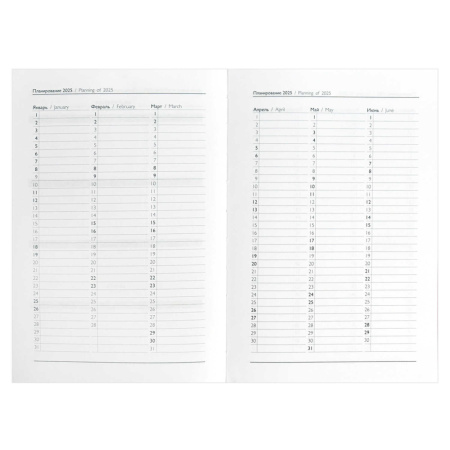 Еженедельник дат. 2025г, А5  80л., кожзам., мягк.пер. "Тиволи глосс Бежевый"