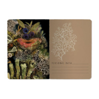 Записная книжка А6  32л. картон, мягк.пер. "Flora. Эльфийский лес лин.