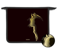 Папка д/тетрад. А5 (240*205*40) 1отд. молния сверху, пластик, фольга "Black cat"