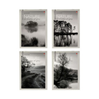 Блокнот А5  40л скоба "Природа" клетка, ассорти