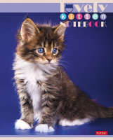 Тетрадь А5  60л кл. Hatber "Все любят котиков" белизна 98%