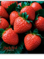 Тетрадь А5 48л кл. Проф-Пресс "Фрукты и ягоды - 3" обл.мел.бум.