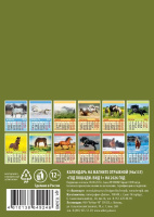 Календарь на магните отрывной  96*135мм на 2026г.  Год лошади. Вид 1