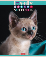 Тетрадь А5  60л кл. Hatber "Все любят котиков" белизна 98%