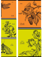 Тетрадь А5  96л кл. Проф-Пресс "Зарисовки природы" 5 диз., белизна 100%