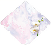 Конверт для денег "Поздравляю!"