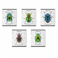 Тетрадь А5 48л кл. Erich Krause "Жуки,", УФ-лак выборочный+тиснение фольгой+ конгр.