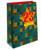 Пакет подар. бумажн. 26*32*12 см, 130гр/м 23 февраля