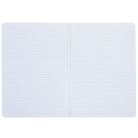 Тетрадь А4  96л ЛИН. гребень Hatber "Пределы нормы" перф., мат.лам., 2диз.в блоке