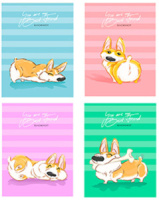 Блокнот А6  40л  "Веселые собачки" на спирали