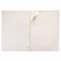 Тетрадь А4  96л кл. гребень Hatber  "Headline" ТОНИР.БЛОК КРЕМОВЫЙ