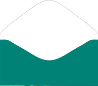 Конверт для денег "Счастья в новом году" Конверт для денег "Счастья в новом году"