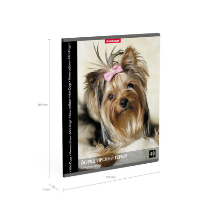 Тетрадь А5 48л кл. Erich Krause " Энциклопедия, Собаки мини-пород"