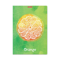 Тетрадь А4  48л кл. скоба Erich Krause " Fresh, Mixed Reality" пластик. обложка