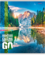 Тетрадь А5  96л ЛИН. Проф-Пресс "Захватывающие виды - 1" 4диз.в коробке, белизна 92%