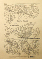 Бумага-крафт для творчества А3, 20 листов, пл.80гр