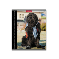 Тетрадь А5 48л кл. Erich Krause " Самые добрые собаки"