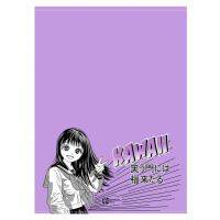 Конверт на кнопке  с рисунком 6 отд. 240*345мм, Манга