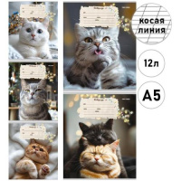 Тетрадь А5 12л косая лин. с доп.горизонт.лин. Проф-Пресс "Кошечки" 5диз.в сп.