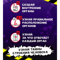 Набор для опытов Re-Агенты "Строение тела"