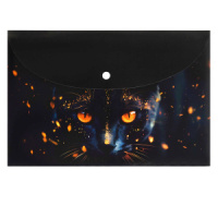 Конверт на кнопке  с рисунком А4 (335*230мм) Кот-маг