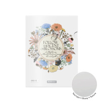 Набор из 4 папок- уголков  А4 Wild Flowers, ассорти