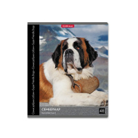 Тетрадь А5 48л кл. Erich Krause " Самые добрые собаки"