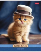 Тетрадь А5 48л кл. Hatber "Котики-артисты" 5диз.в спайке, белизна 100%