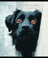 Тетрадь А5 48л кл. ПЗБМ "Кто тут?" мат.лам., выб.УФ-лак, конгрев