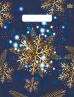 Пакет с вырубной неус. ручкой 30х23 (30мк) Снежинка, ПВД