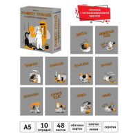 Комплект предметных тетрадей "Пёс и Кот" 10 шт в упаковке, 48л., металл, пантон, ВД лак, коробка