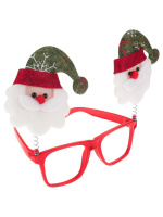 Карнавальные очки "Праздник к нам приходит" 21*15см